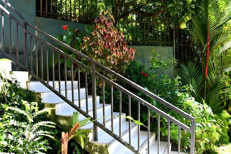 Garden steps at Cozy Homestay Kandy
