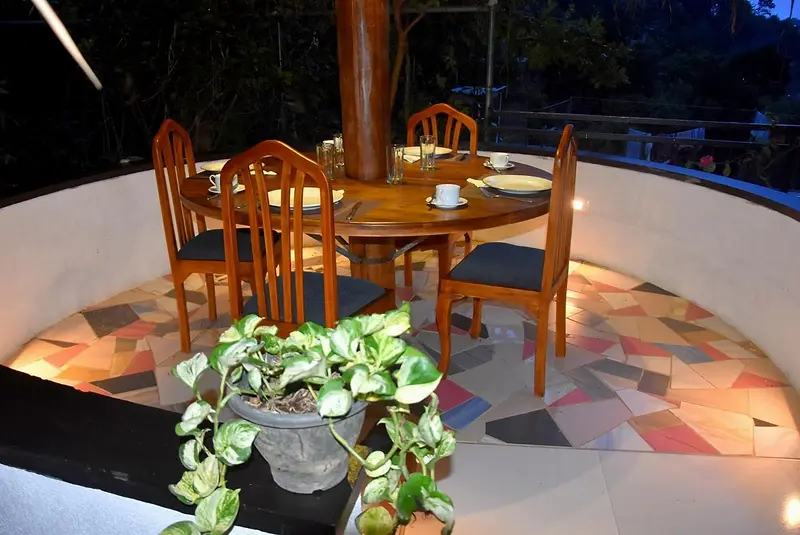 Terrace dining area with a potted plant and mosaic floor